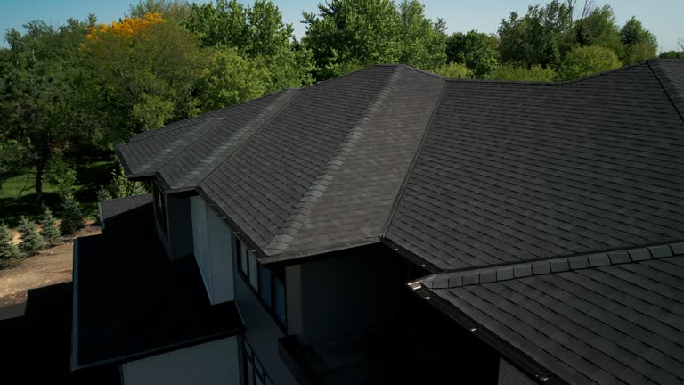 Best Chimney Flashing Repair  in , WI