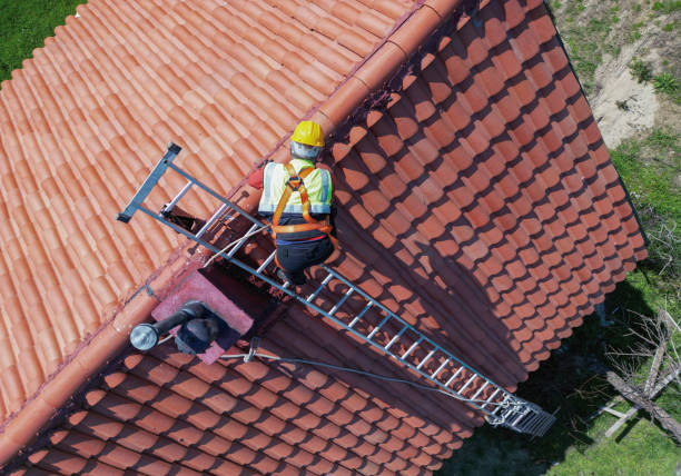 Best Roof Moss and Algae Removal  in , WI