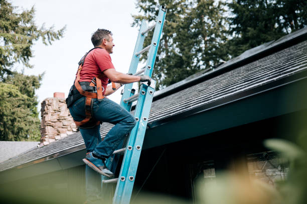 Best Skylight Installation and Repair  in , WI